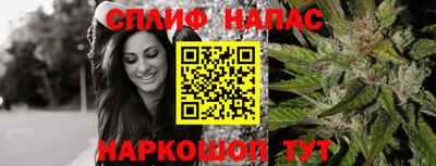 МДПВ Донской